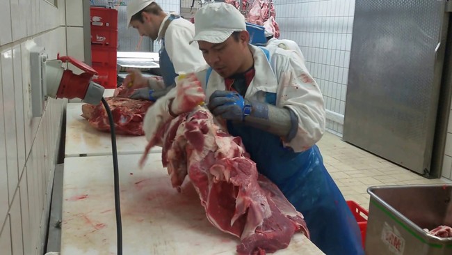 La FAO estima que la producción mundial de carne crecerá hasta los 363,9 millones de toneladas