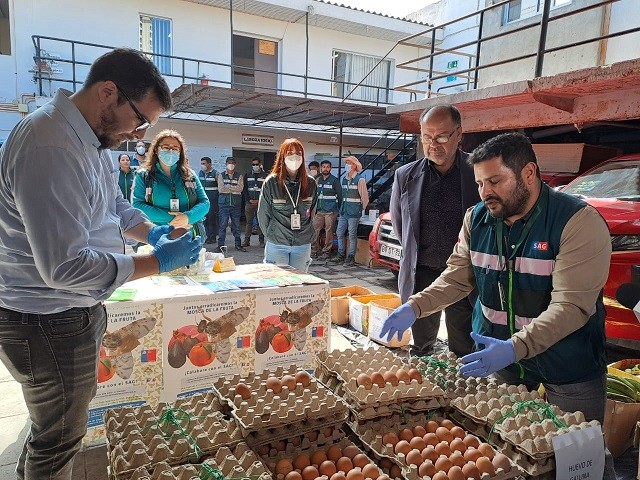 Ingreso Clandestino: en 136% aumenta incautación de huevos de gallina