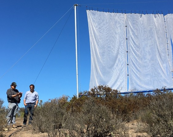 CNR invita a regantes del Norte Chico a postular a nuevo concurso dirigido a la pequeña agricultura y comunidades agrícolas