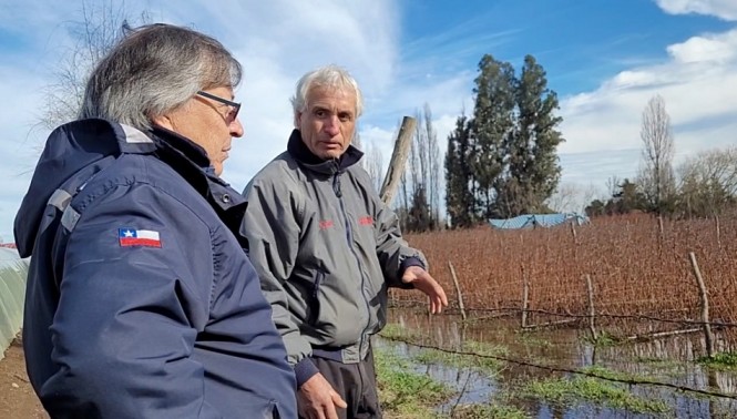 Alimentación animal será la primera etapa de apoyo a productores afectados por crecida de ríos