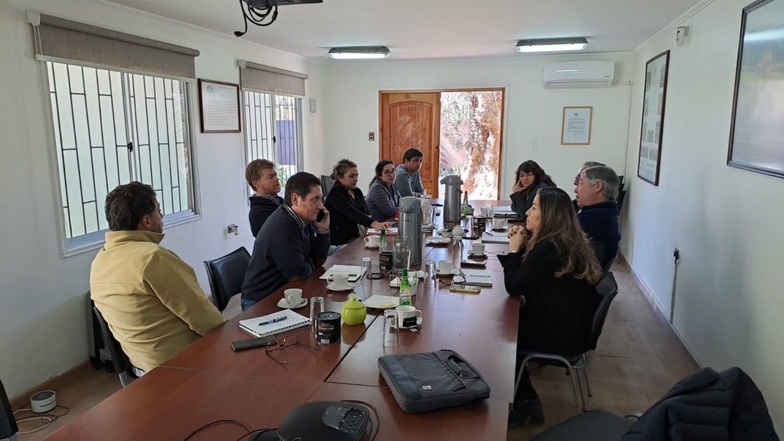 Atacama y Coquimbo: Los sitios de Inspección son claves para concretar los envíos de uvas de mesa bajo Systems Approach a EEUU