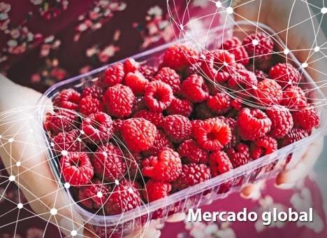 Resumen del mercado global de la frambuesa