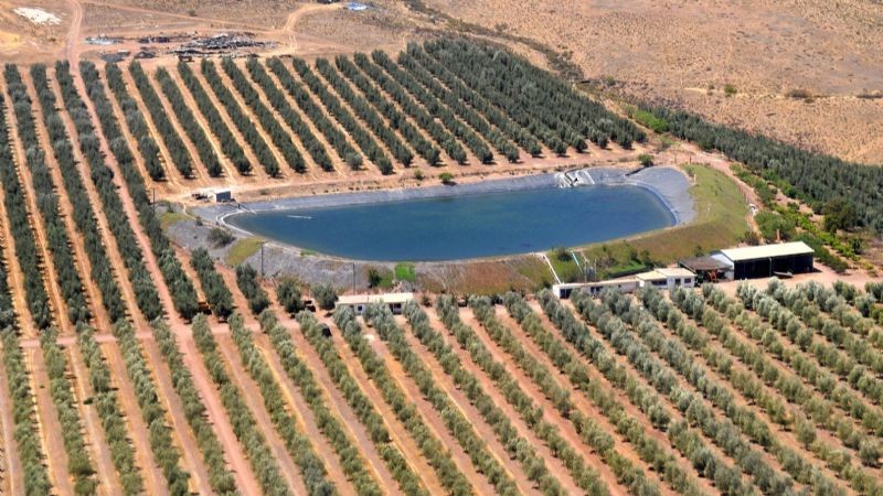 Por sequía: Regantes acusan lentitud en construcción de proyectos cruciales para afrontar la crisis