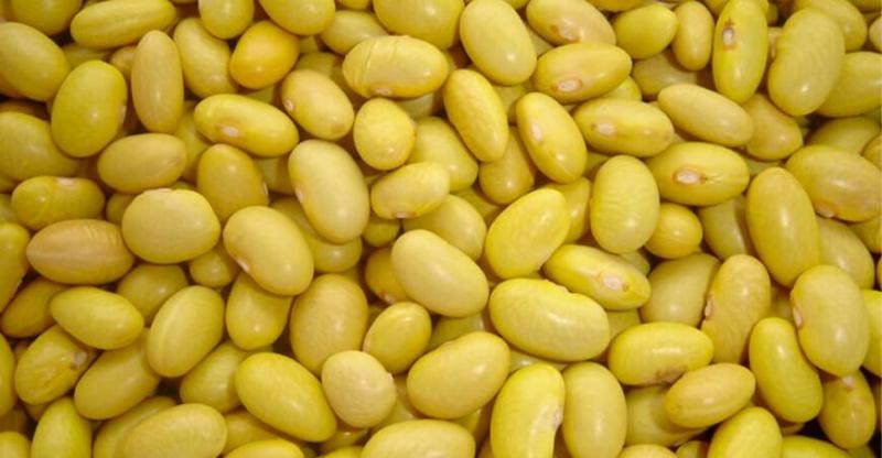 Perú: Exportaciones de frijol caen 47% en volumen en mayo de 2023