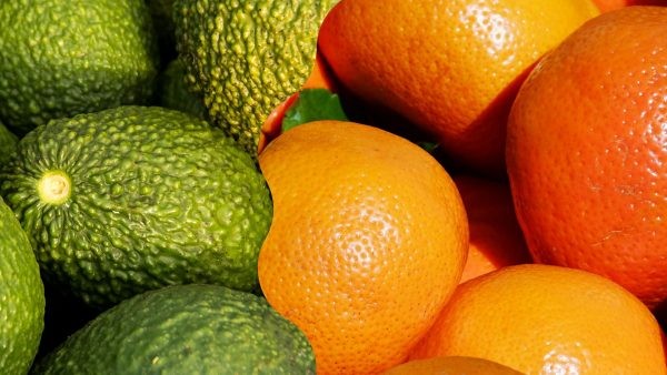 Paltas y mandarinas peruanas llegarían a nuevos mercados de Asia