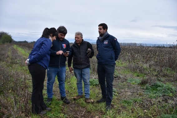 Con más de 500 agricultores de Ñuble avanza catastro de emergencia y reconstrucción productiva del agro