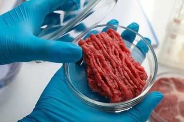 La producción de carne artificial crece a nivel mundial