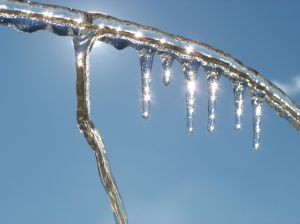 Fenómeno de El Niño: ¿traerá heladas para la agricultura de la zona central de Chile?