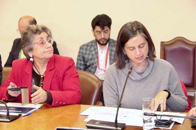 Durante Comisión de Agricultura de la Cámara de Diputados: Subsecretaria Ignacia Fernández expone avances del plan de recuperación para apoyar a agricultores afectados por sistema frontal