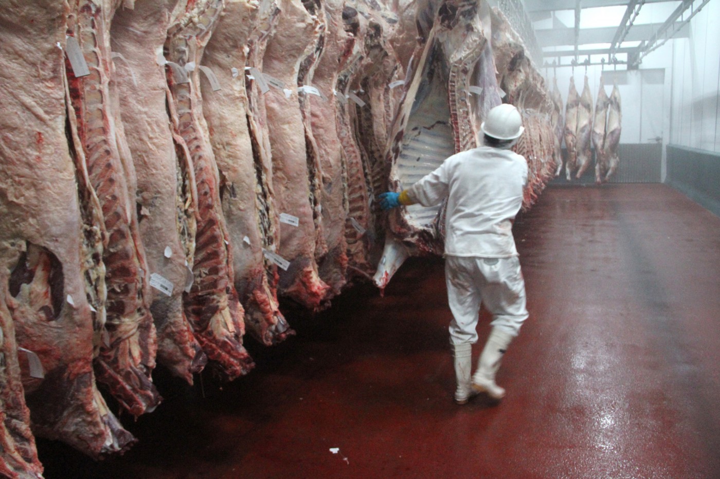 Brasil producirá y exportará volumen récord de carnes en 2023 según proyecciones oficiales
