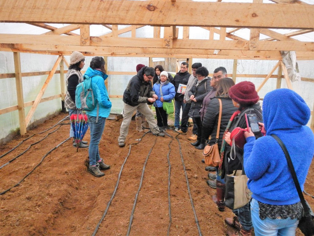 Cerca de 50 familias de agricultores de la Región de Los Ríos recibirán capacitación especializada en temas de riego