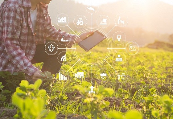 Amplían plazo de postulación al concurso “Despega Tu Emprendimiento” para Pymes y Startups Agrotech