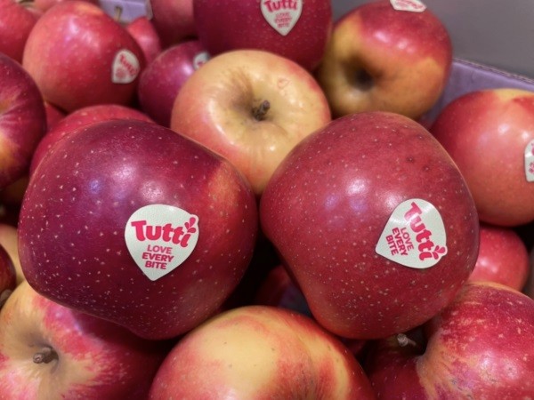 ANA Chile traerá variedades de manzanas y peras de clima cálido a Chile y Sudamérica