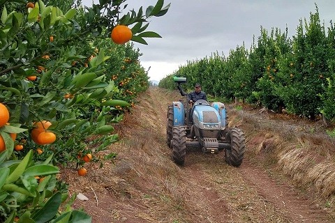 ¿Eres agricultor? Conoce el programa que te ayuda a enfrentar la escasez hídrica y ser más productivo