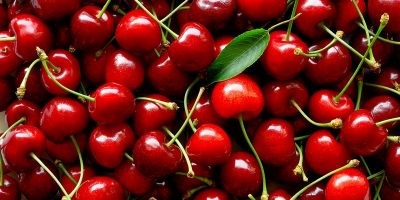 “2023 es uno de los peores años que se recuerdan” para la producción de cerezas de Holanda