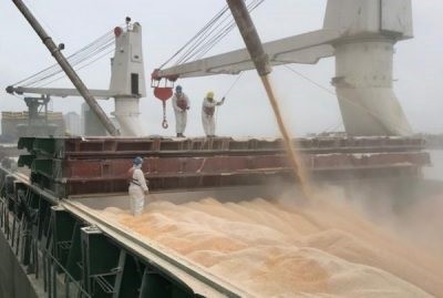 Exportadores de granos de Argentina liquidan USD 2.127 millones