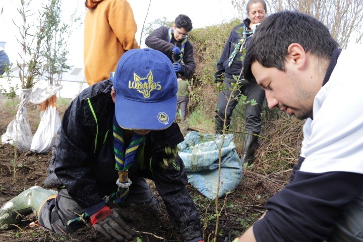 Cecinas Llanquihue dona más de 500 árboles nativos para reforestación de humedales