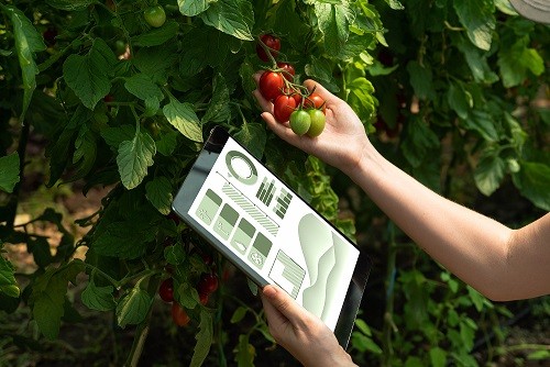 CFIAgrotech 2023: Startups “Agtech” se preparan para ser parte del Congreso y Feria Internacional de Innovación y Tecnologías en Agroalimentos