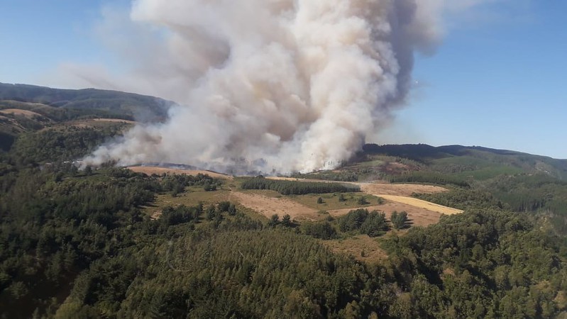Chile avanza hacia paisajes y comunidades más resilientes a los incendios