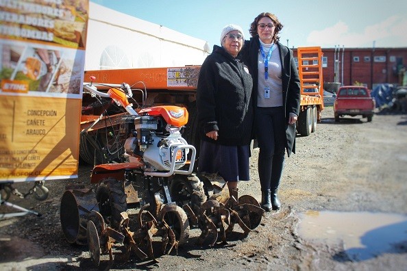 952 agricultores de Tirúa fueron beneficiados con proyectos y capital de operaciones de INDAP