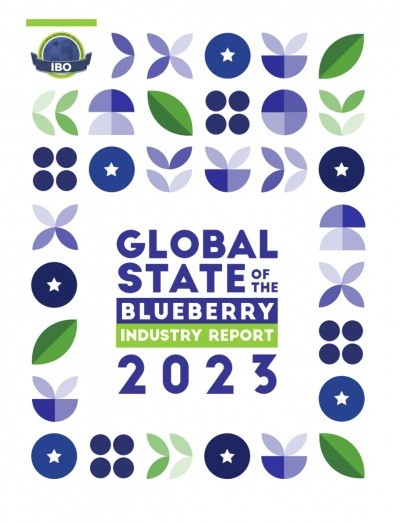 IBO publica Informe Mundial del Estado de la Industria del Arándano 2023