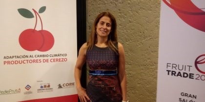 Crecimiento de exportaciones de cerezas chilenas pasaría por garantizar la diversificación de puertos