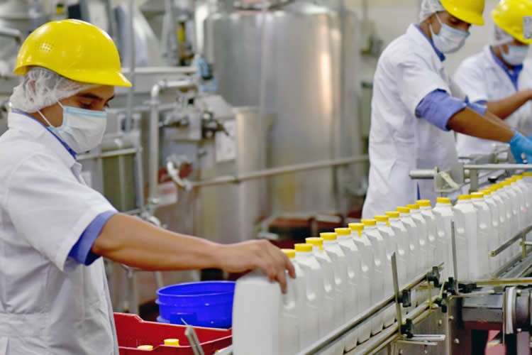 Elaboración de lácteos mantiene un comportamiento mixto a junio