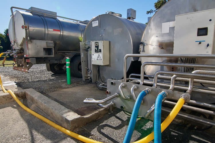 La industria láctea reduce en general la compra de leche cruda en los primeros seis meses del año
