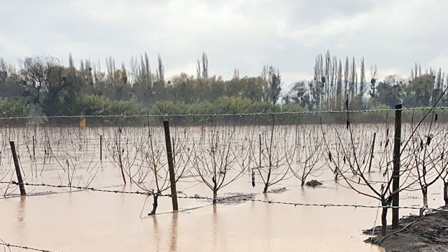 Agricultores chilenos estiman en US$ 400 millones las pérdidas por inundaciones