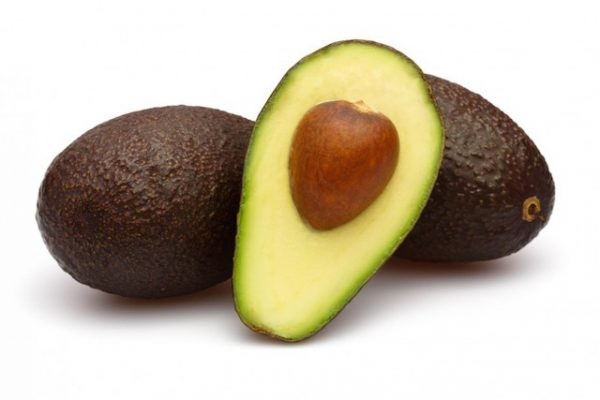 La expansión de la palta marroquí, amenazada por la escasez de agua