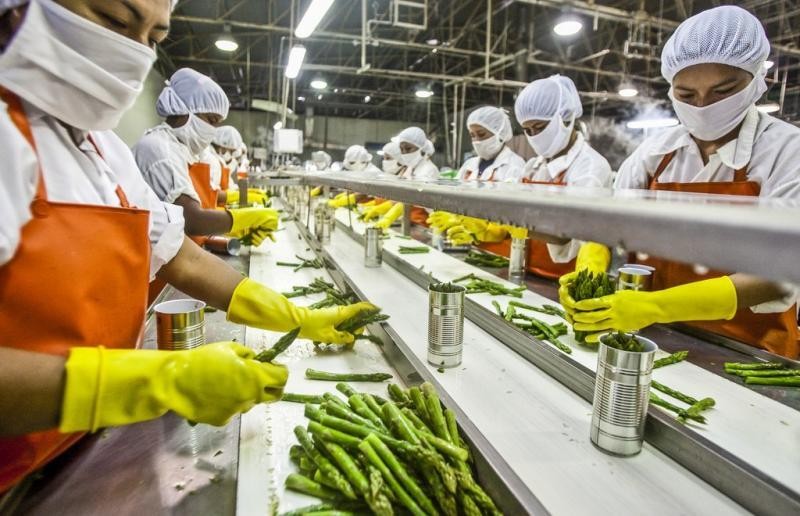 CIEN-ADEX: Empleos generados por exportaciones agroindustriales alcanzaron los 717.761 en el primer semestre del 2023