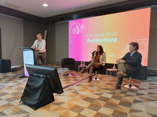 Comité de Arándanos de Chile: “La tarea hoy es adaptarse al nuevo escenario de mercado con consistencia, calidad y competitividad, donde el recambio varietal juega un papel clave, pero no es suficiente”