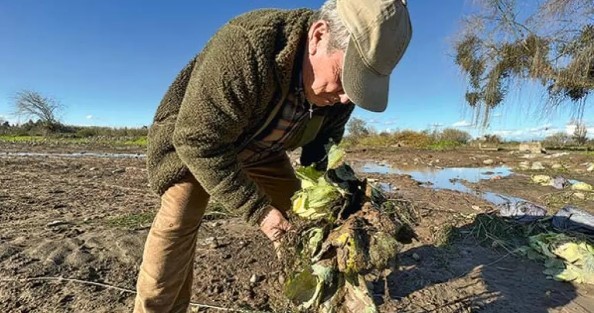 Socabío advierte: Inundaciones retrasan siembras y se afectaría rendimiento