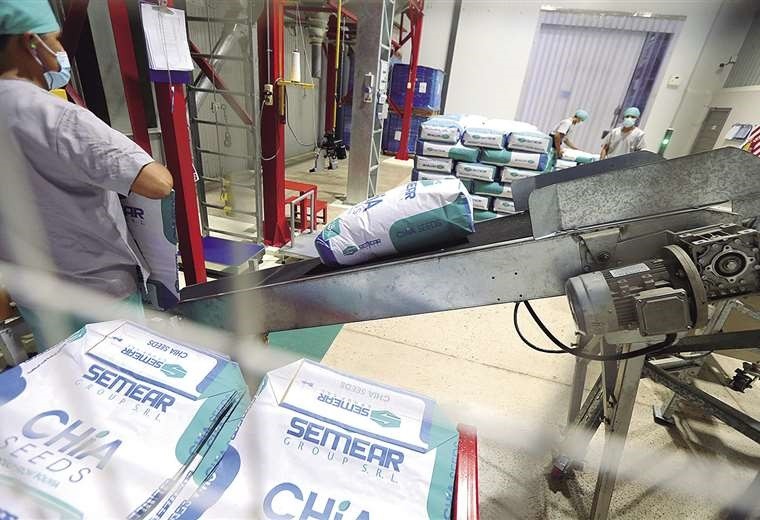 Demanda de China y Chile abre mercado para chía, carne, leche, palta y limón