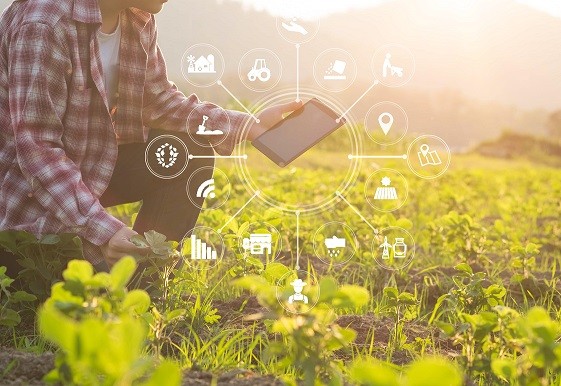 Startups Agtech presentarán casos de éxito en conferencia CfiAgrotech 2023