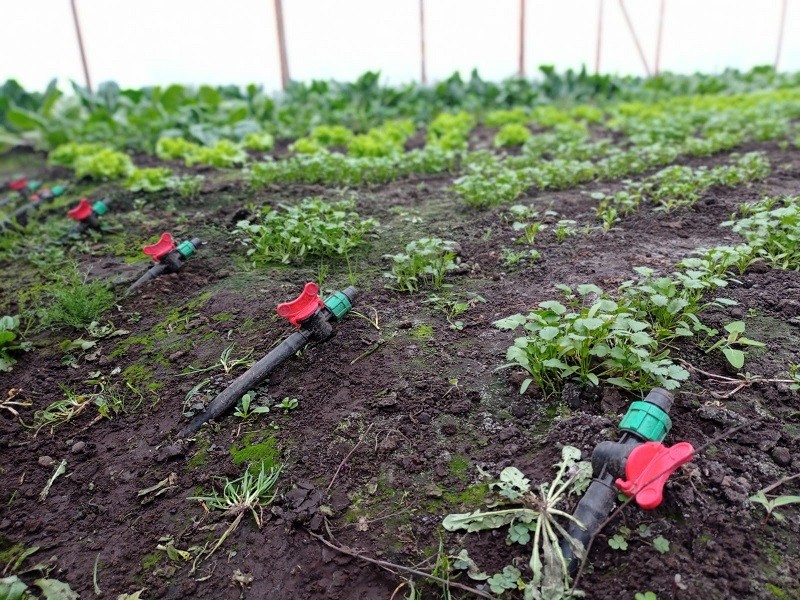 Programa de pequeña agricultura de la CNR fortalece el riego con energía limpias en Biobío