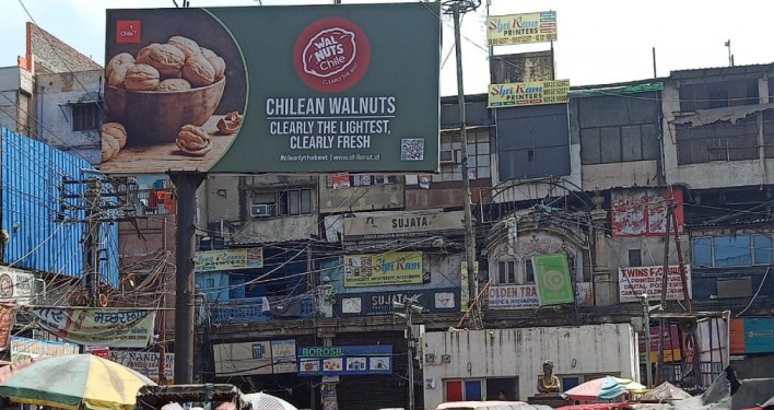 Lanzan nueva campaña de nueces chilenas en India