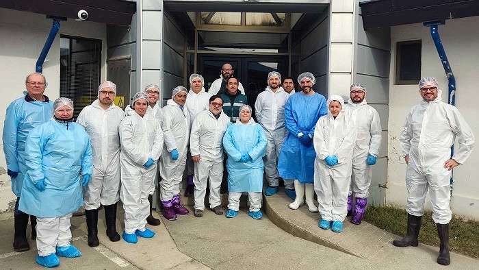 Equipo pecuario de SAG Magallanes perfecciona sus competencias en patología ovina
