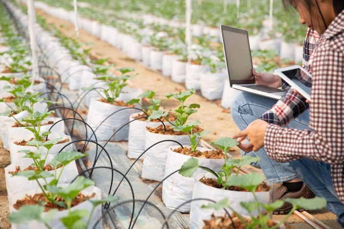 FIA abre Convocatoria Nacional de Proyectos de Innovación en Sistemas Alimentarios Sostenibles