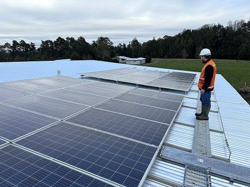 Inauguran proyecto de Energías Renovables en Los Muermos para impulsar la agricultura local sostenible