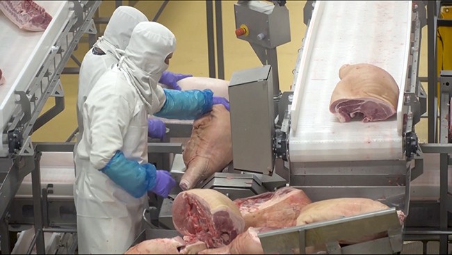 El USDA considera que la UE se encamina a uno de sus momentos más bajos tanto en ganadería como en producción cárnica