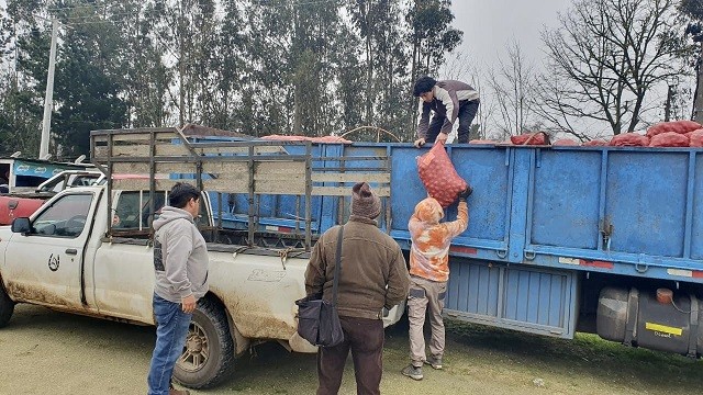 Usuarios del Prodesal de Los Álamos realizaron venta de papas a pequeños agricultores de Hualqui