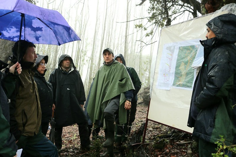 CONAF fiscaliza en La Araucanía cumplimiento de normativa de protección ambiental por parcelaciones