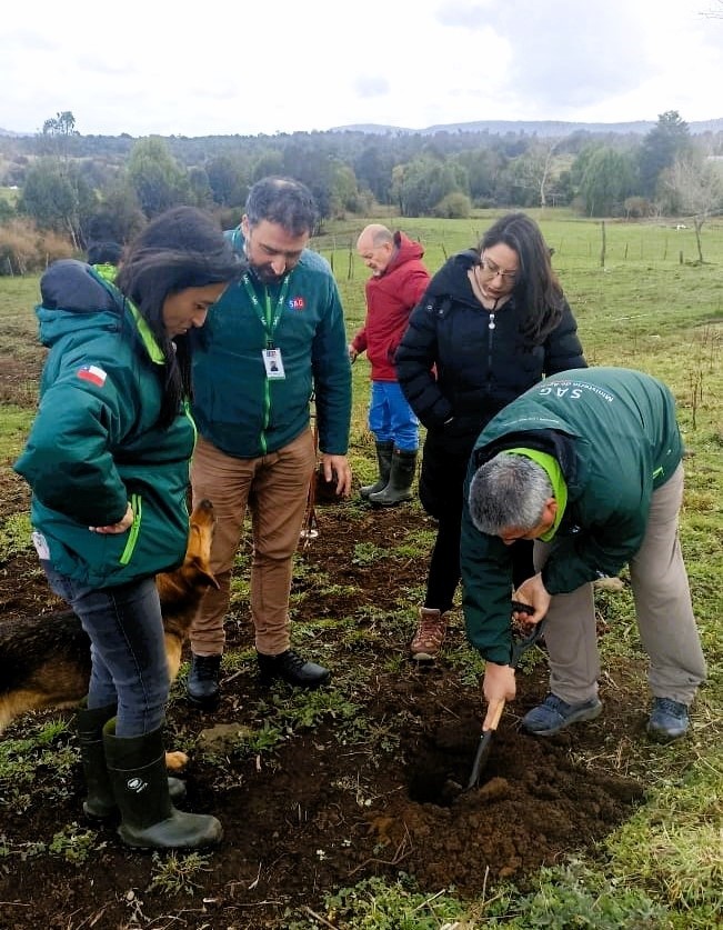 Valoran aprobación de recursos para el manejo del gusano blanco