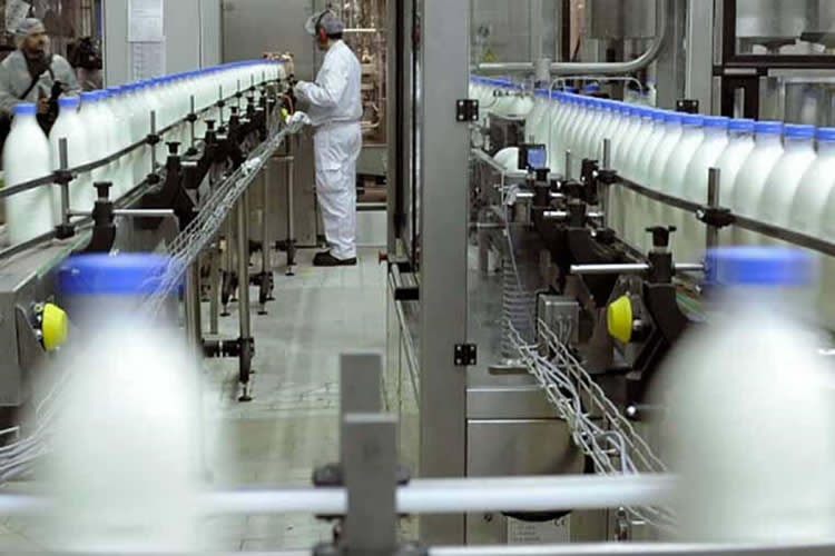 Elaboración de lácteos mantiene un comportamiento mayormente a la baja al arranque del segundo semestre