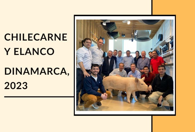 DELEGACIONES DE LA INDUSTRIA PORCINA CHILENA Y ARGENTINA VISITARON DINAMARCA CON EL OBJETIVO DE EXPLORAR INNOVACIONES DE LA INDUSTRIA DANESA
