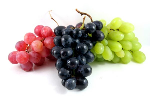 Perú realiza primer embarque de uvas a Japón