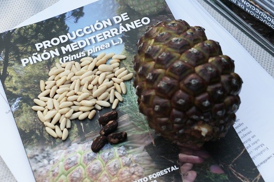 Piñones Lozanos, una empresa con tradición para un producto innovador