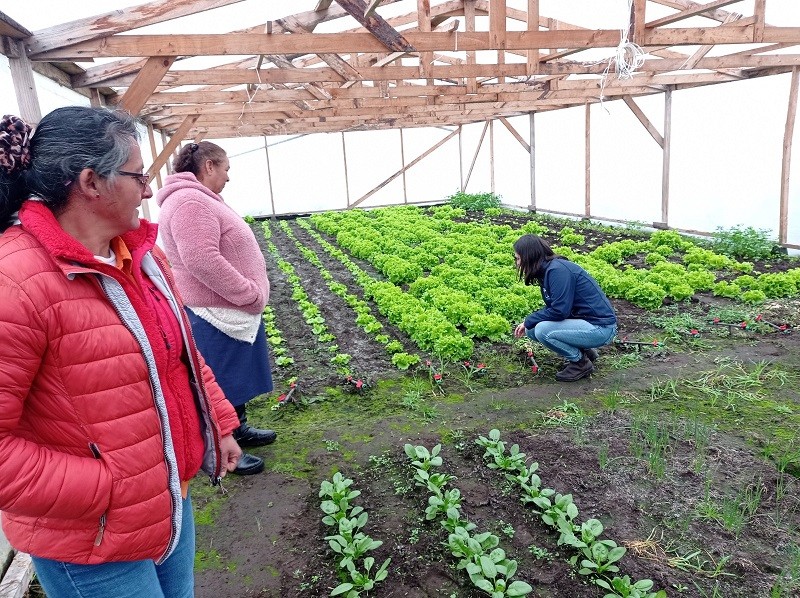 CNR invita a agricultoras de Biobío a postular a curso gratuito de la Escuela de Monitoras de Riego