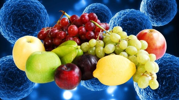 Nueva Zelanda: Científicos avanzan en el desarrollo de frutas sin la necesidad de arbustos o árboles, sólo utilizando células